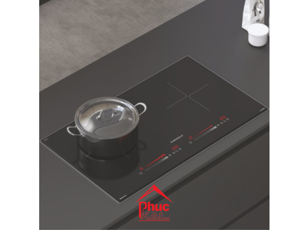 Bếp từ 2 vùng nấu EUH6800 – Eurogold